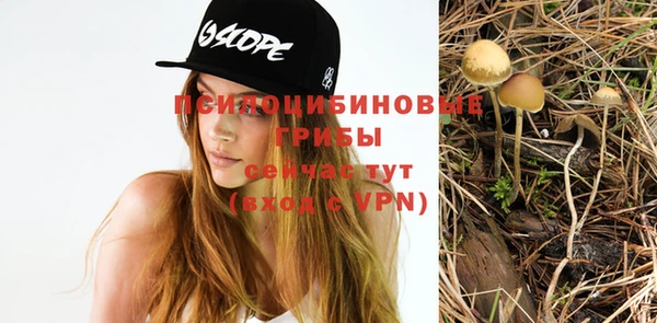 гашиш Алексин