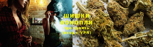 гидра Алзамай